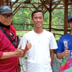 Penggemukan 12 Sapi Serap Dana Ketapang Rp350 Juta Di Desa Majalama