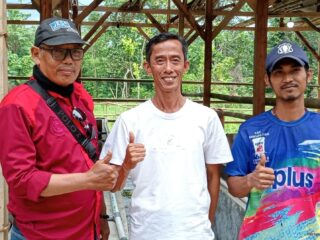 Penggemukan 12 Sapi Serap Dana Ketapang Rp350 Juta Di Desa Majalama