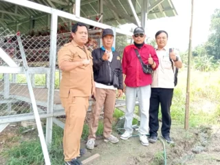Bumdes Bintang Lestari Ciburuy Genjot Ketahanan Pangan Lewat Ayam Petelur