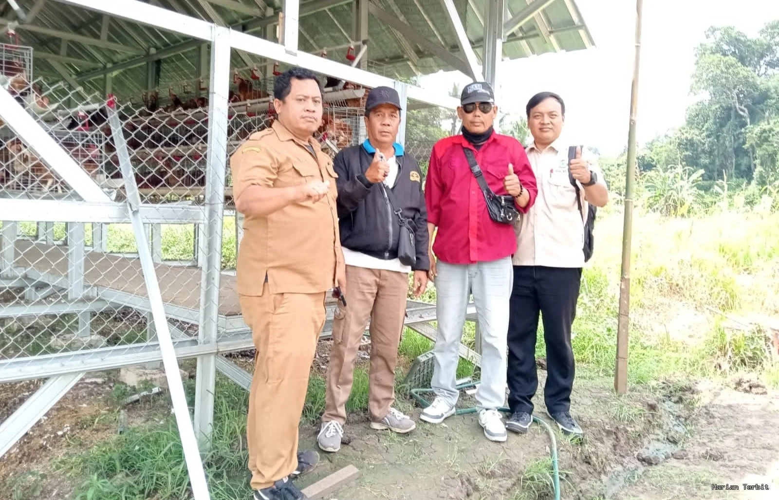 Bumdes Bintang Lestari Ciburuy Genjot Ketahanan Pangan Lewat Ayam Petelur