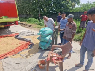 Bulog Lebak Dan Pandeglang Gerak Cepat Serap Gabah Petani