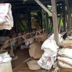 Ada Tambang Emas Ilegal Di Citorek, Polisi Didesak Tangkap Pemilik Tambang