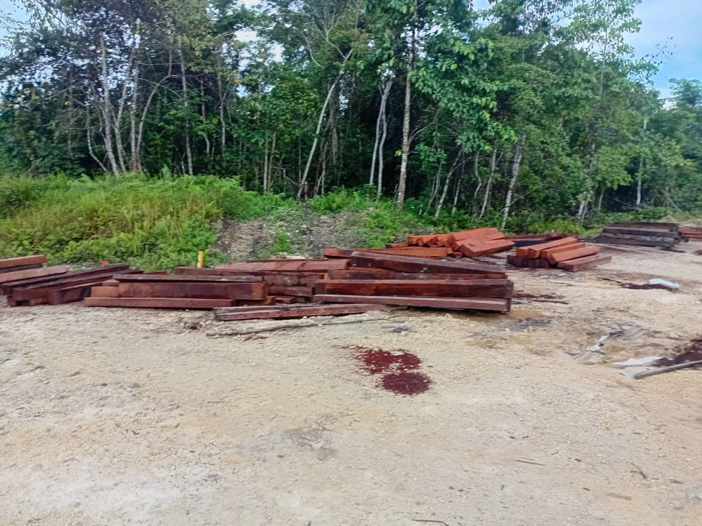 Dua Tempat Pengolahan Kayu Di Sorsel Dan Kabsor Diduga Beroperasi Tanpa Izin