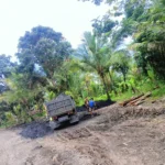 Hutan Negara Diserbu Tambang Ilegal, Perhutani Bayah Disorot, Polda Banten Didesak Bertindak