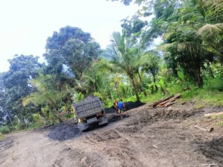 Hutan Negara Diserbu Tambang Ilegal, Perhutani Bayah Disorot, Polda Banten Didesak Bertindak