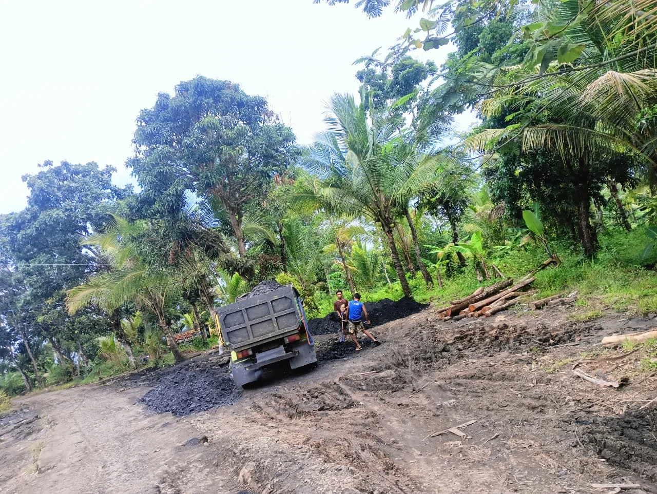 Hutan Negara Diserbu Tambang Ilegal, Perhutani Bayah Disorot, Polda Banten Didesak Bertindak