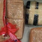 Polda Metro Jaya Ringkus Pengedar Narkoba, Sita 1,3 Kg Ganja Di Rawalumbu