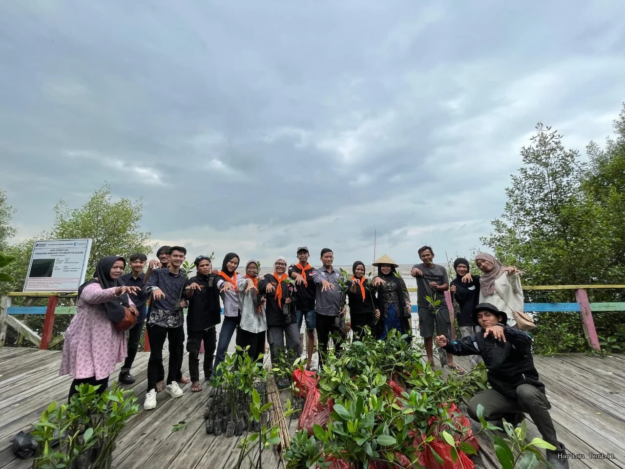 Mahasiswa Unbaja Lakukan Aksi Penanaman Mangrove Di Pesisir Serang