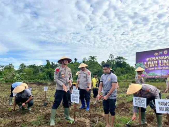 Perkuat Ketahanan Pangan, Polda Pbd Laksanakan Penanaman 500 Tunas Uwi Ungu