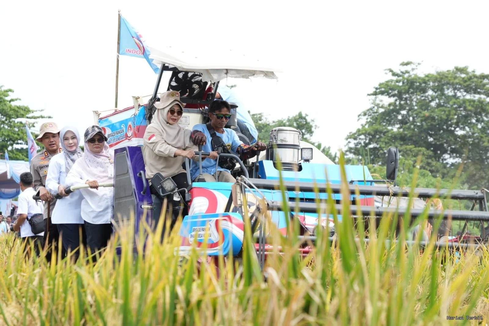 Varietas Padi Ps-08 Dan Pupuk Organik Tingkatkan Hasil Panen Petani Pandeglang