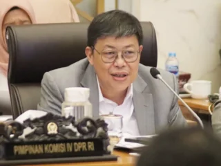 Stok Beras Melimpah, Pemerintah Diminta Siapkan Ekspor