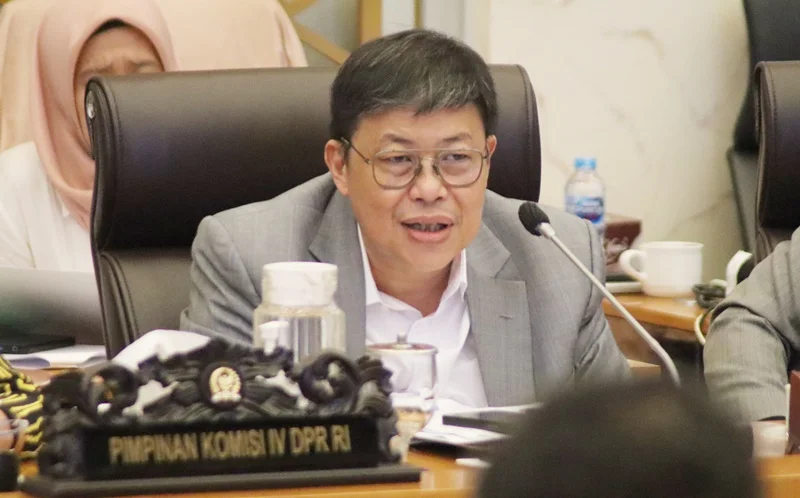 Stok Beras Melimpah, Pemerintah Diminta Siapkan Ekspor