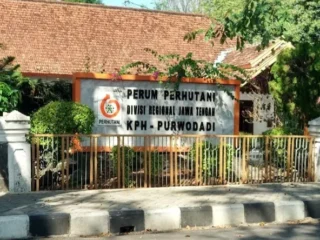 Kejati Jateng Diminta Panggil Perhutani Kph Purwodadi Terkait Pengelolaan Hutan
