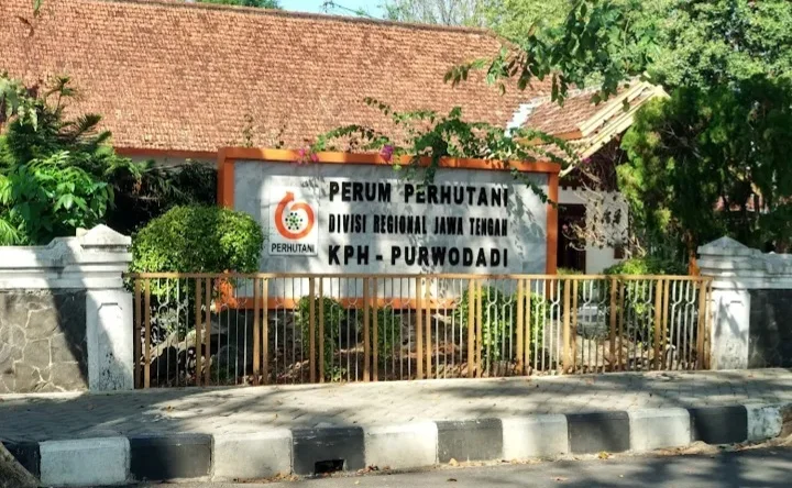 Kejati Jateng Diminta Panggil Perhutani Kph Purwodadi Terkait Pengelolaan Hutan