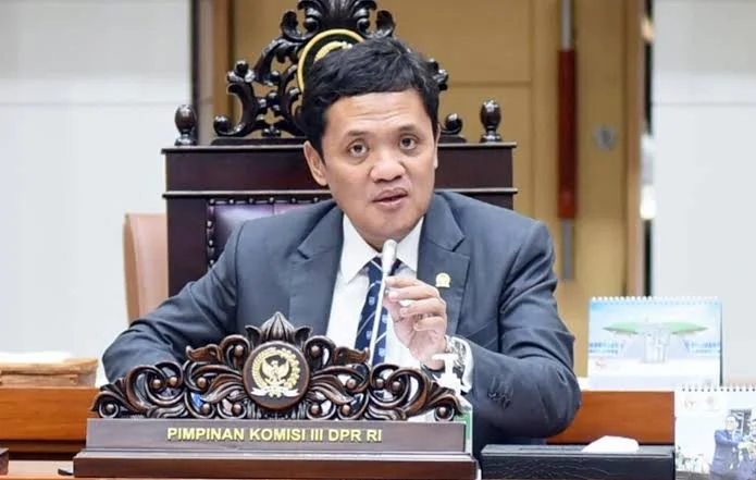 Komisi Iii Dpr Minta Penahanan Amsal Sitepu Ditangguhkan Dan Dibebaskan