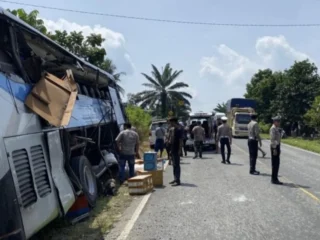 Truk Terperosok Jurang Usai Benturan Dengan Bus Di Pelalawan Riau