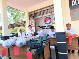 Polda Papua Barat Daya Gagalkan Peredaran 7,9 Kilogram Ganja 