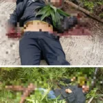 Kkb Diduga Tembak Pengendara Di Tambrauw, Satu Korban Tewas