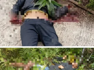 Kkb Diduga Tembak Pengendara Di Tambrauw, Satu Korban Tewas