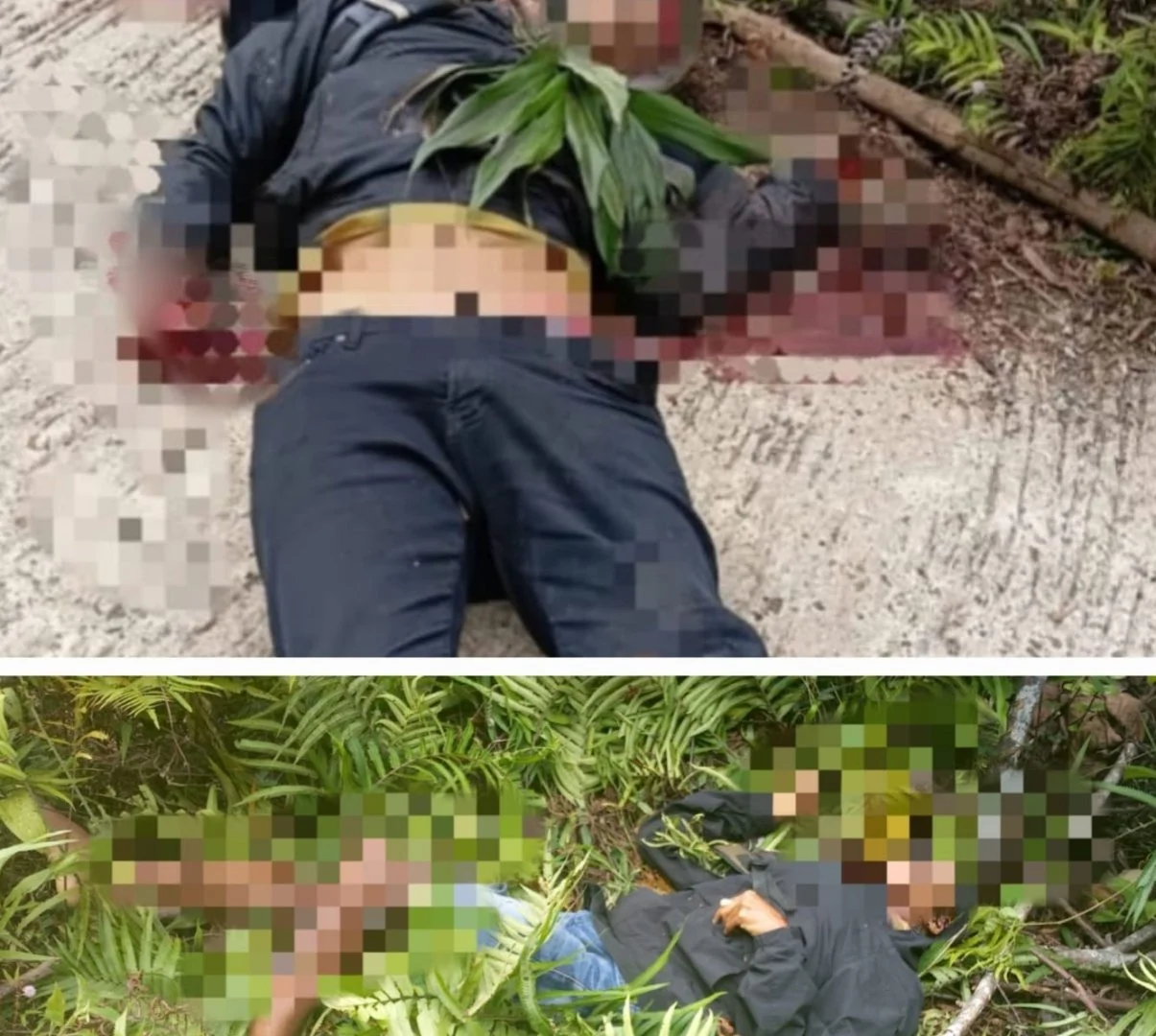 Kkb Diduga Tembak Pengendara Di Tambrauw, Satu Korban Tewas