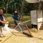 Terharu! Bulog Datang Ke Sawah, Petani Ucap Terima Kasih