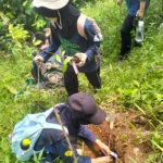 Reboisasi Pulosari Lestari Tekankan Pemulihan Lingkungan Dan Edukasi Peserta