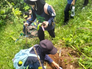 Reboisasi Pulosari Lestari Tekankan Pemulihan Lingkungan Dan Edukasi Peserta