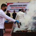Polda Pbd Musnahkan 8,2 Kg Ganja Hasil Pengungkapan Kasus Di Sorong