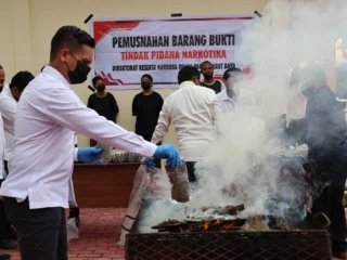 Polda Pbd Musnahkan 8,2 Kg Ganja Hasil Pengungkapan Kasus Di Sorong