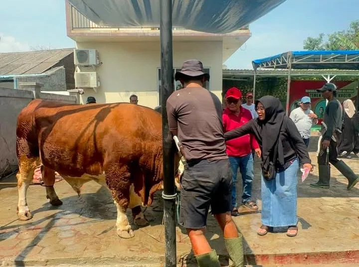 Sambut Idul Adha, Kholid Ismail Salurkan Hewan Kurban Hingga Ke Serang, Cianjur, Sukabumi ​