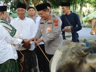 Panitia Kurban Masjid Agung Ciamis Salurkan 500 Paket Daging Kepada Warga