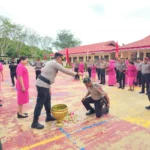 Jelang Hut Bhayangkara Ke-80, Sebanyak 87 Personel Polda Papua Barat Daya Terima Kenaikan Pangkat