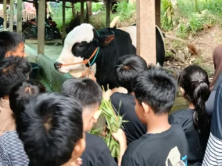 Memberi Makan Hewan Ternak Dapat Meminimalisir Ketergantungan Anak Pada Hp