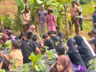 Mengenal Hutan, Menumbuhkan Kepedulian Anak Terhadap Lingkungan