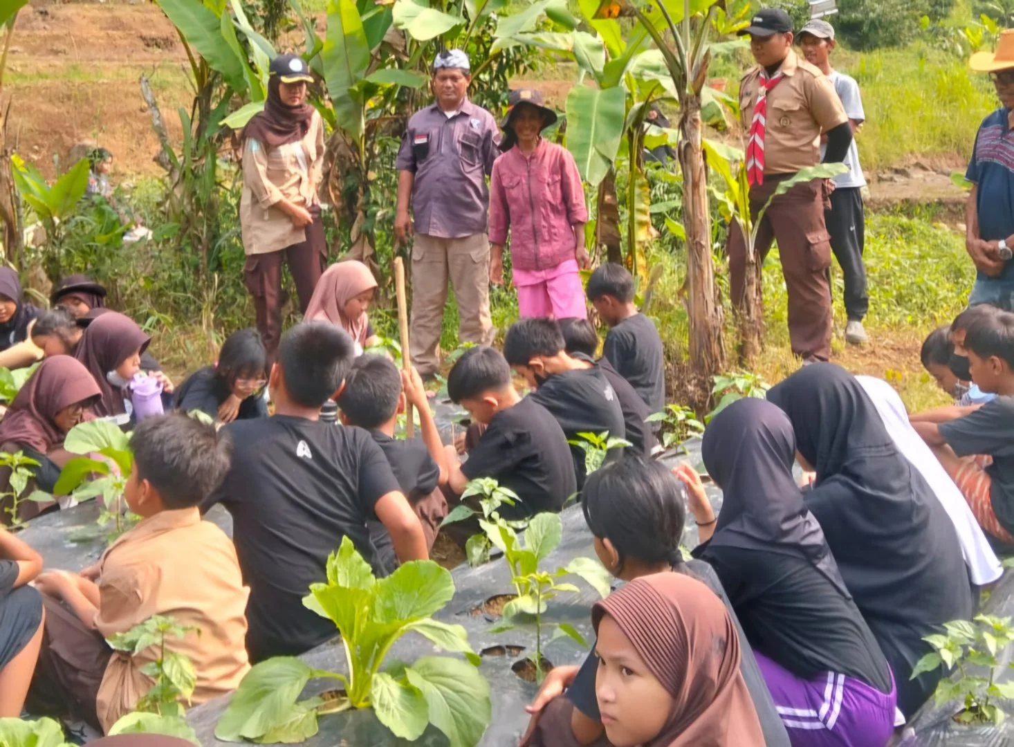 Mengenal Hutan, Menumbuhkan Kepedulian Anak Terhadap Lingkungan