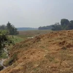 Diduga Beroperasi Tanpa Izin Di Lahan Sawah Dilindungi, Kompleks Industri Di Serang Disorot