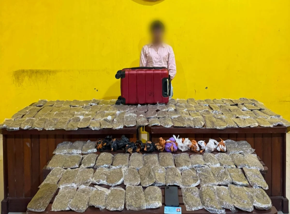 Seorang Perempuan Ditangkap Tim Brasko Satresnarkoba Polresta Sorong Kota, Bawa 5,4 Kg Ganja