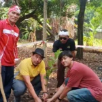 Semarak Hut Ri Ke-81, Warga Desa Ciangsana Tanam 30 Bibit Pohon Dan Gelar Cek Kesehatan Gratis