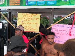 Masyarakat Adat Moi Palang Kantor Dlh Kabupaten Sorong, Tolak Kehadiran Pt Papua Agri Mandiri
