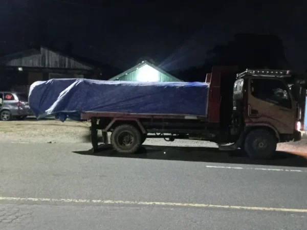 Lsm Wgab Desak Gakkum Buka Hasil Pemeriksaan Perusahaan Kayu Di Sorong