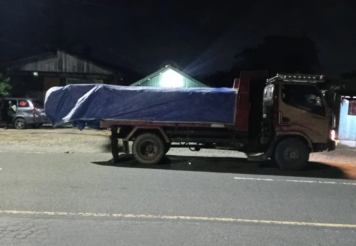 Lsm Wgab Desak Gakkum Buka Hasil Pemeriksaan Perusahaan Kayu Di Sorong