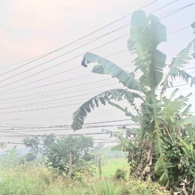 Benang Kusut Kabel Wifi Di Cadasari, Gerak 08 Banten Minta Tiang Dan Kabel Ditertibkan