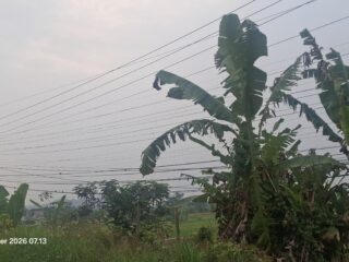 Benang Kusut Kabel Wifi Di Cadasari, Gerak 08 Banten Minta Tiang Dan Kabel Ditertibkan