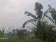 Benang Kusut Kabel Wifi Di Cadasari, Gerak 08 Banten Minta Tiang Dan Kabel Ditertibkan