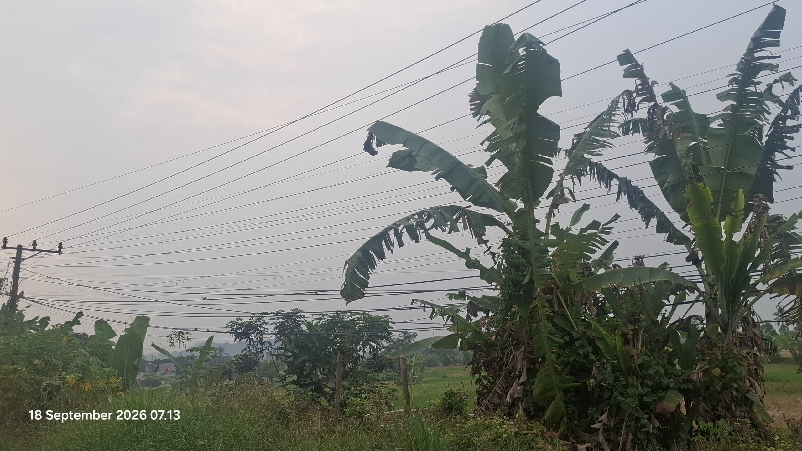 Benang Kusut Kabel Wifi Di Cadasari, Gerak 08 Banten Minta Tiang Dan Kabel Ditertibkan
