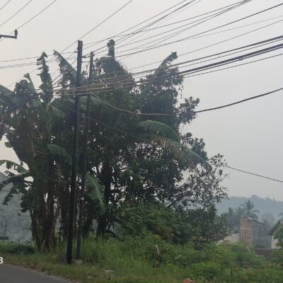Tiang Provider Kian Menjamur, Denyy Soroti Lemahnya Penataan Di Pandeglang 29 Tiang Provider Kian Menjamur, Denyy Soroti Lemahnya Penataan Di Pandeglang