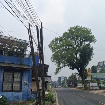 Tiang Provider Kian Menjamur, Denyy Soroti Lemahnya Penataan Di Pandeglang 26 Tiang Provider Kian Menjamur, Denyy Soroti Lemahnya Penataan Di Pandeglang