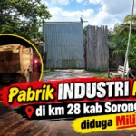 Dugaan Truk Bermuatan Merbau Masuk Malam Hari Di Km 28, Lsm Desak Aph Dan Gakkum Periksa