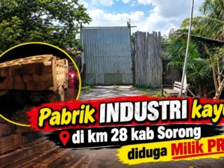 Dugaan Truk Bermuatan Merbau Masuk Malam Hari Di Km 28, Lsm Desak Aph Dan Gakkum Periksa