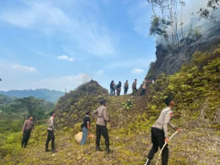 Polres Tambrauw Kerahkan Puluhan Personel Padamkan Kebakaran Lahan